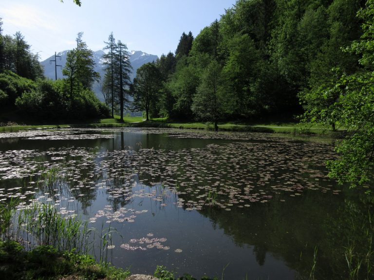 Wandern am Jahreszeitenweg in Golling | Outtour